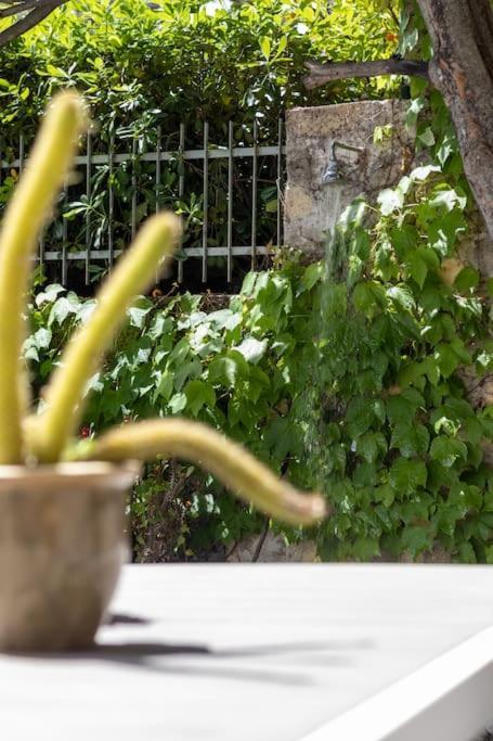 Il Giardino Tra Cielo E Mare Apartment Porto Venere Bagian luar foto