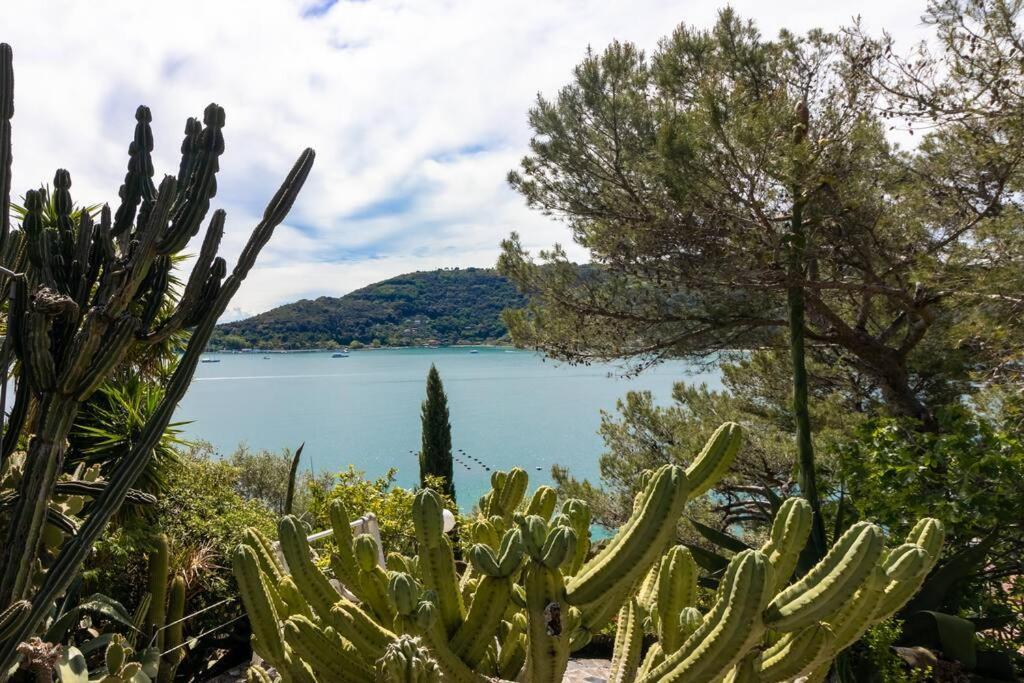Il Giardino Tra Cielo E Mare Apartment Porto Venere Bagian luar foto